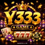 Y333 Game