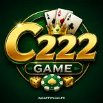 C222 Game