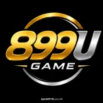 899U Game