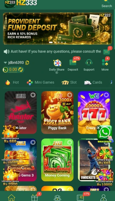HZ333 Game