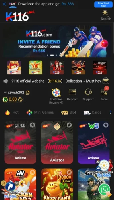 K116 Game