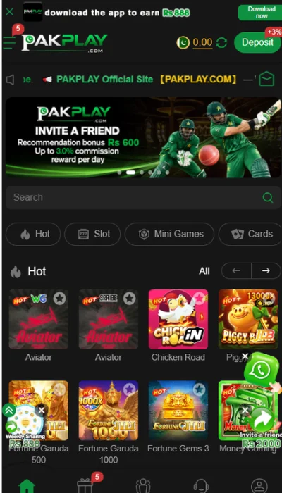 Pak Play Game
